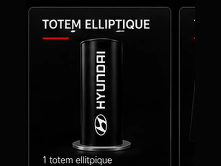 Totem elliptique